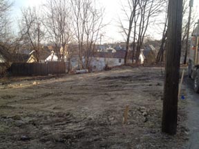 Land Clearing 1